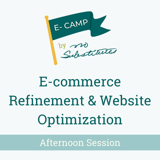 E-Camp by No Substitutes: E-commerce Refinement & Website Optimization Workshop - Afternoon Session