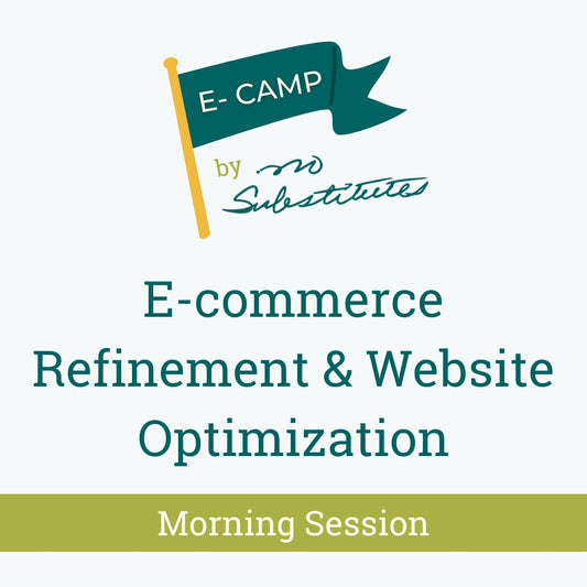 E-Camp by No Substitutes: E-commerce Refinement & Website Optimization Workshop - Morning Session