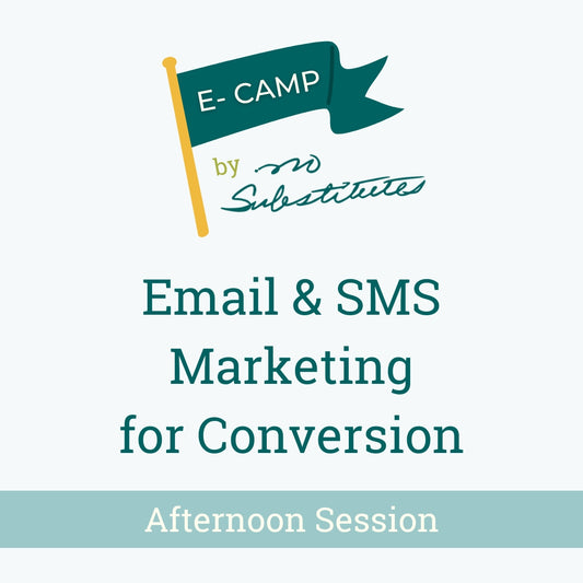 E-Camp by No Substitutes: Email & SMS Marketing for Conversion - Afternoon Session
